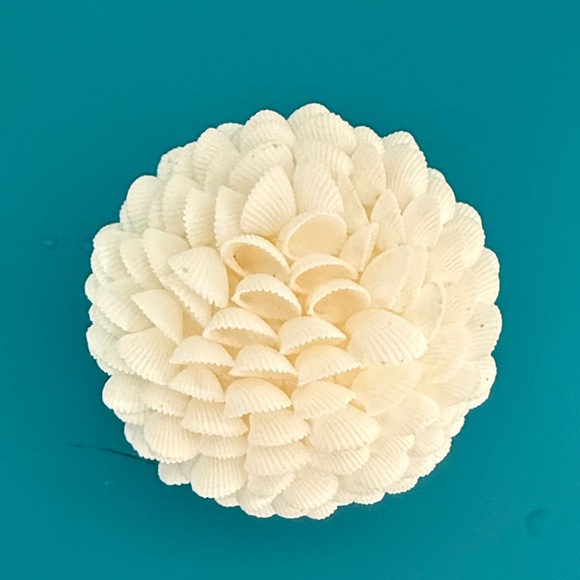 White Shell Sphere - Picture 3 of 3